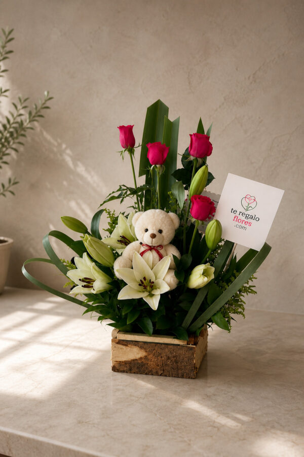 Encanto con Peluche